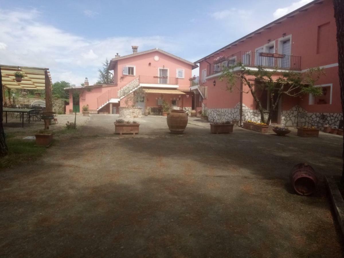 Agriturismo Colle Al Sole Apartment Castiglione del Lago Exterior photo